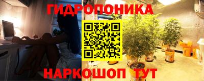 индика Малгобек