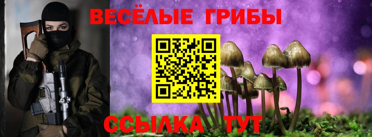 Рубцовск  Галлюциногенные грибы ЛСД  Галлюциногенные грибы Psilocybe  Вход с VPN 