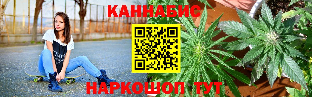Бошки марихуана конопля Рубцовск